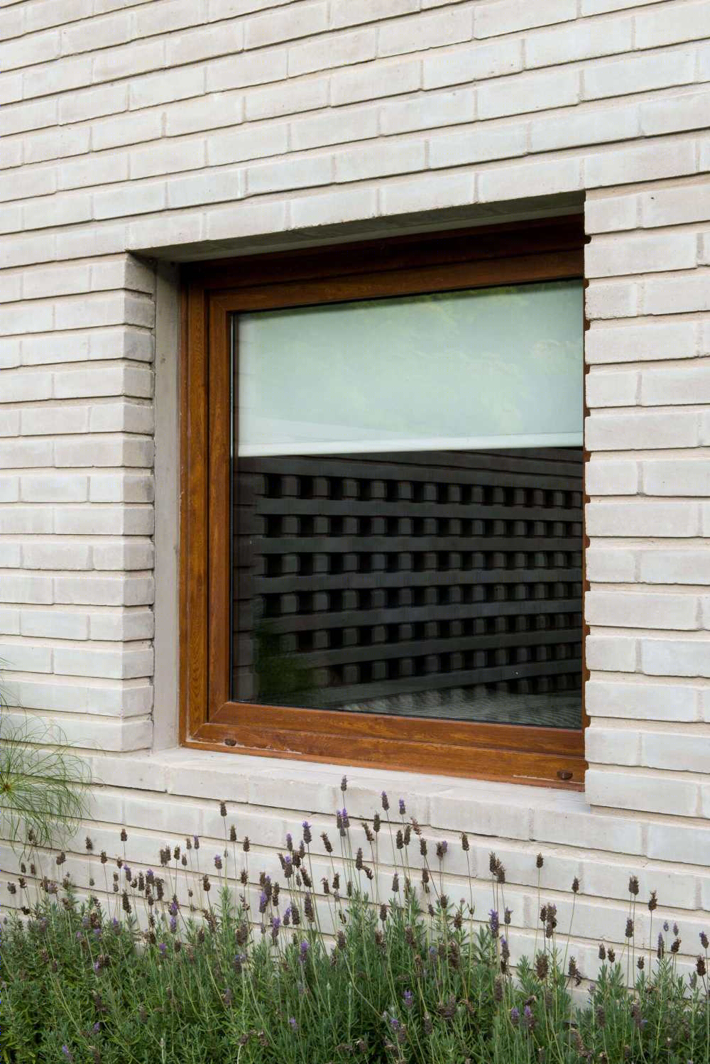 阿根廷自然风光中的宁静之家-30