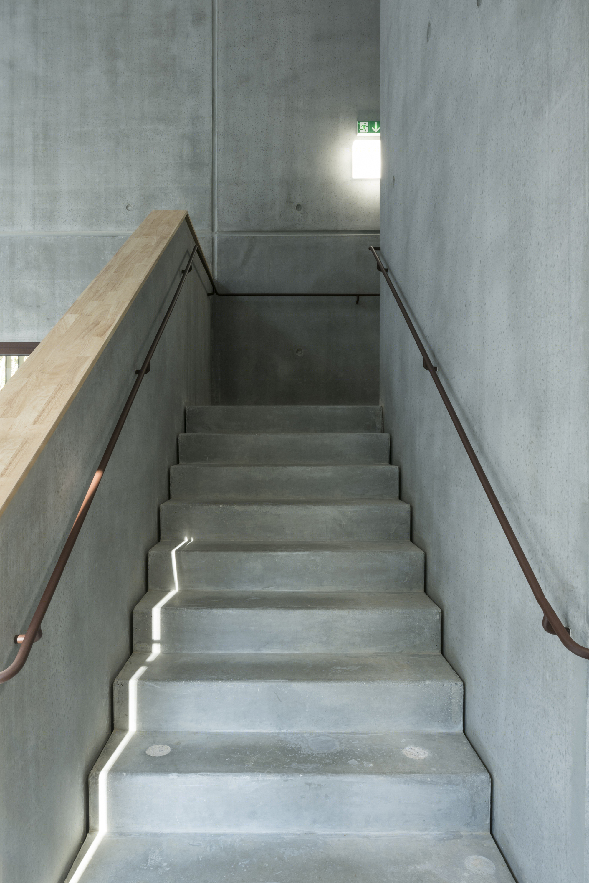 落叶林中的皮肤病实验室-49