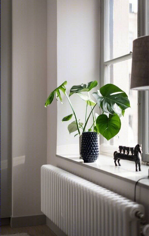 亚历山大·怀特打造现代宜居空间-3