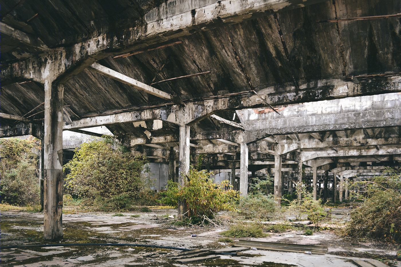 意大利 Varedo 餐厅设计-6