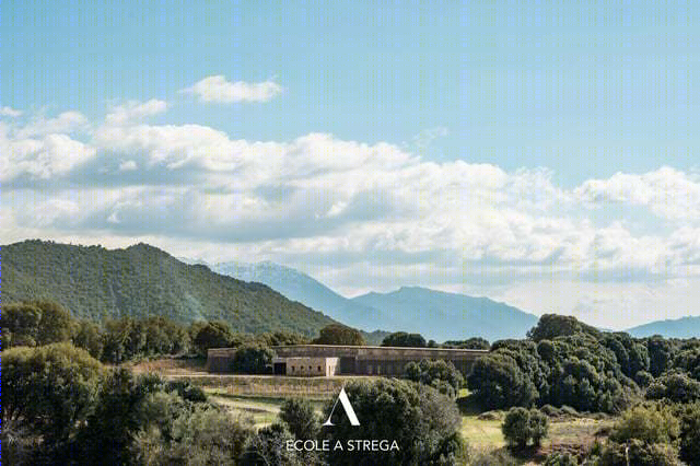 Strega 学校 | 绿意盎然的自然共生建筑-40