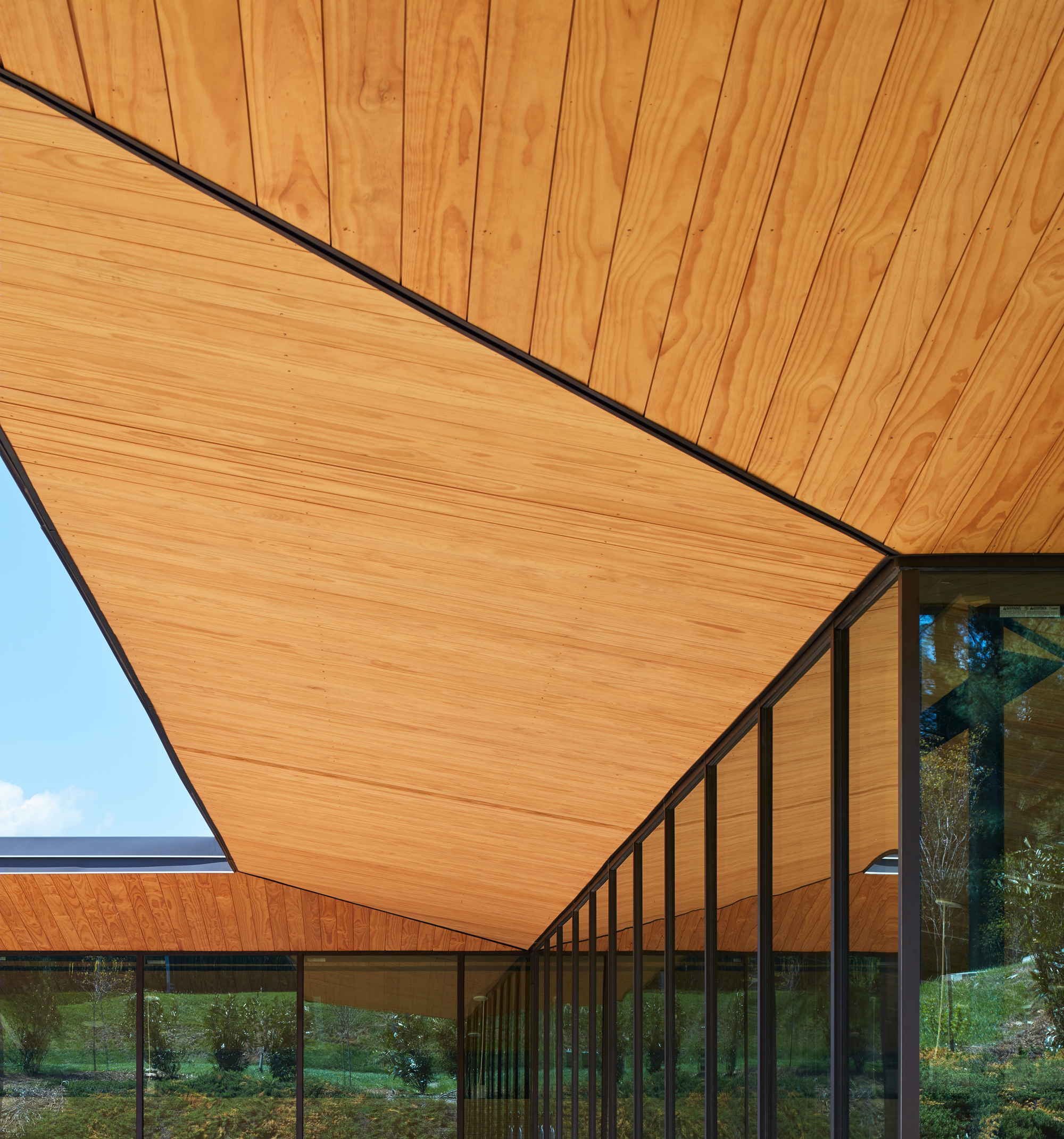 Blue Ridge Orthodontics 绿色疗愈空间-19