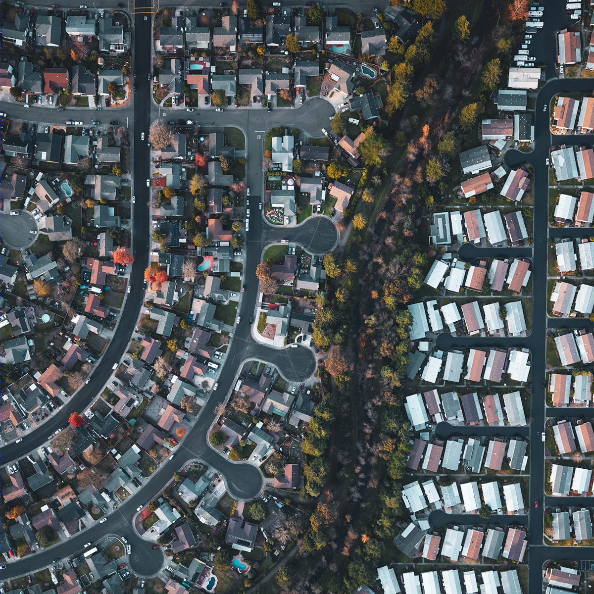 邻里之间丨Mitch Rouse-10