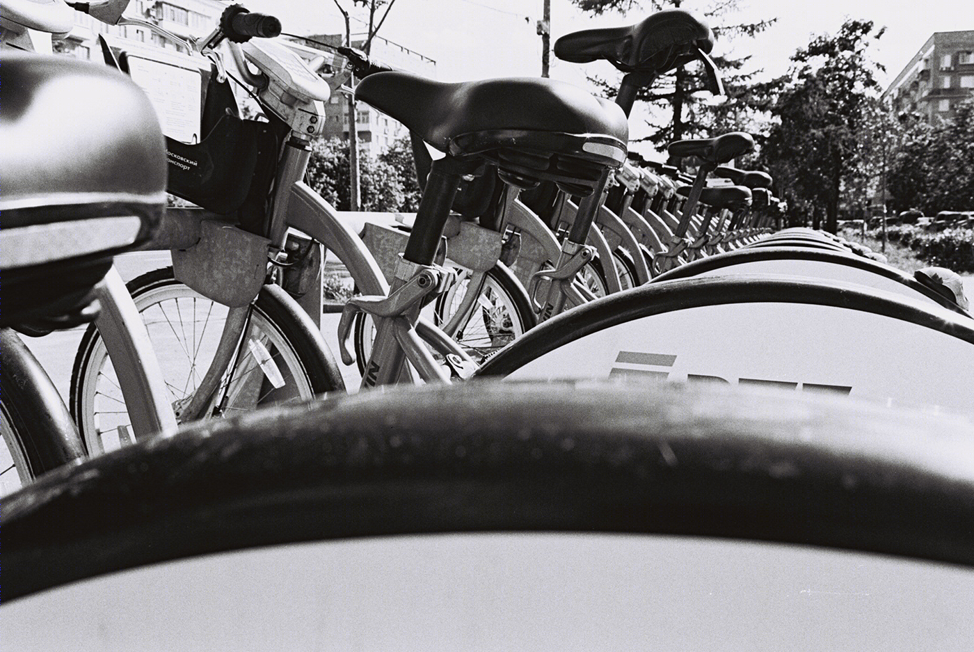 Black&white film ph. Pt2-4