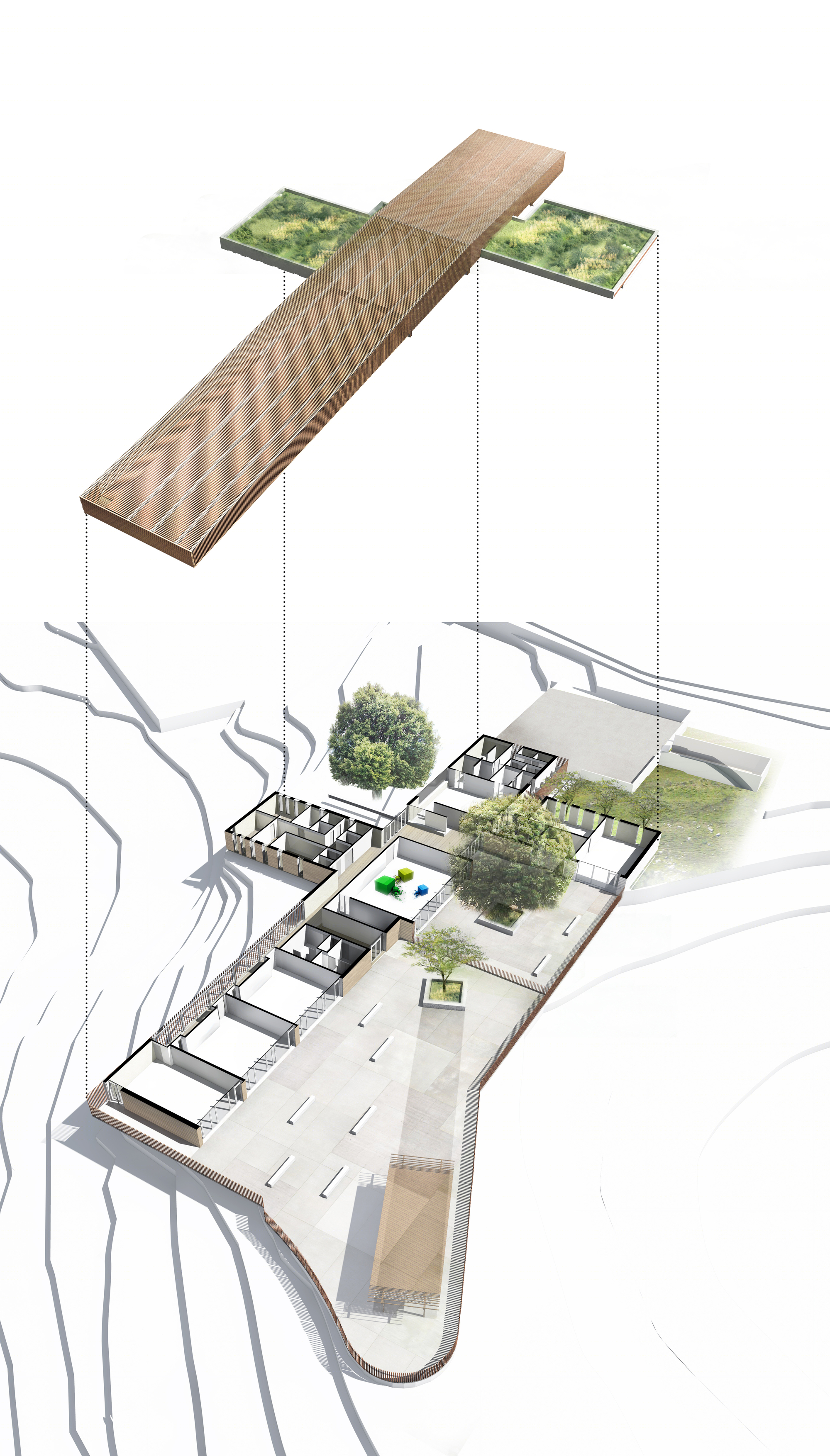 Strega 学校 | 绿意盎然的自然共生建筑-46