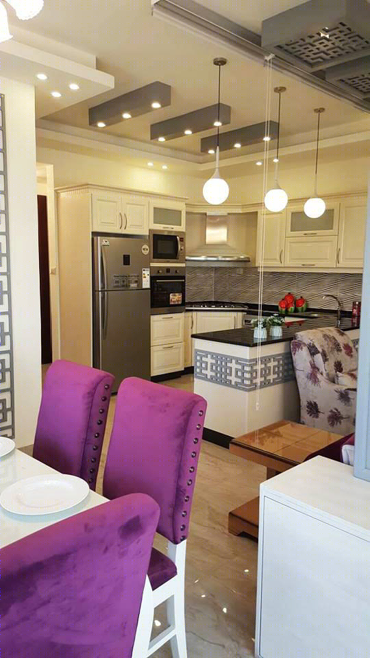 Anastasiya Gushchina丨平层丨Decorate Victorian Style Apartment-9