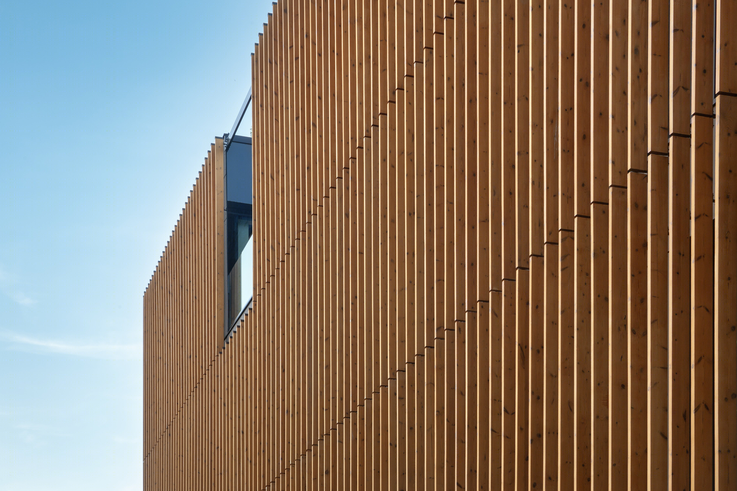 波兰 Sopot 市 696 Office 办公建筑丨proconcept-23