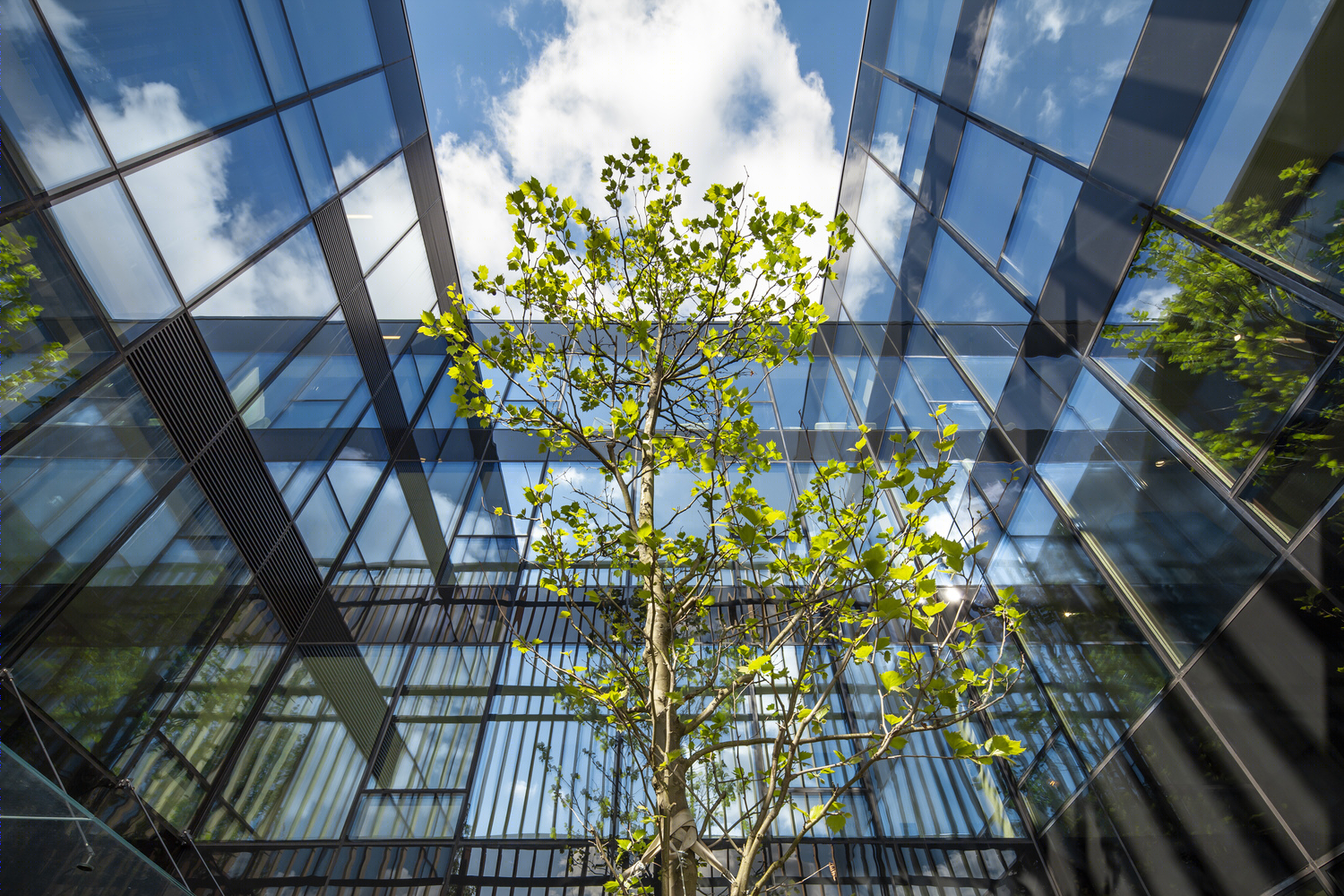 波兰 Sopot 市 696 Office 办公建筑丨proconcept-25