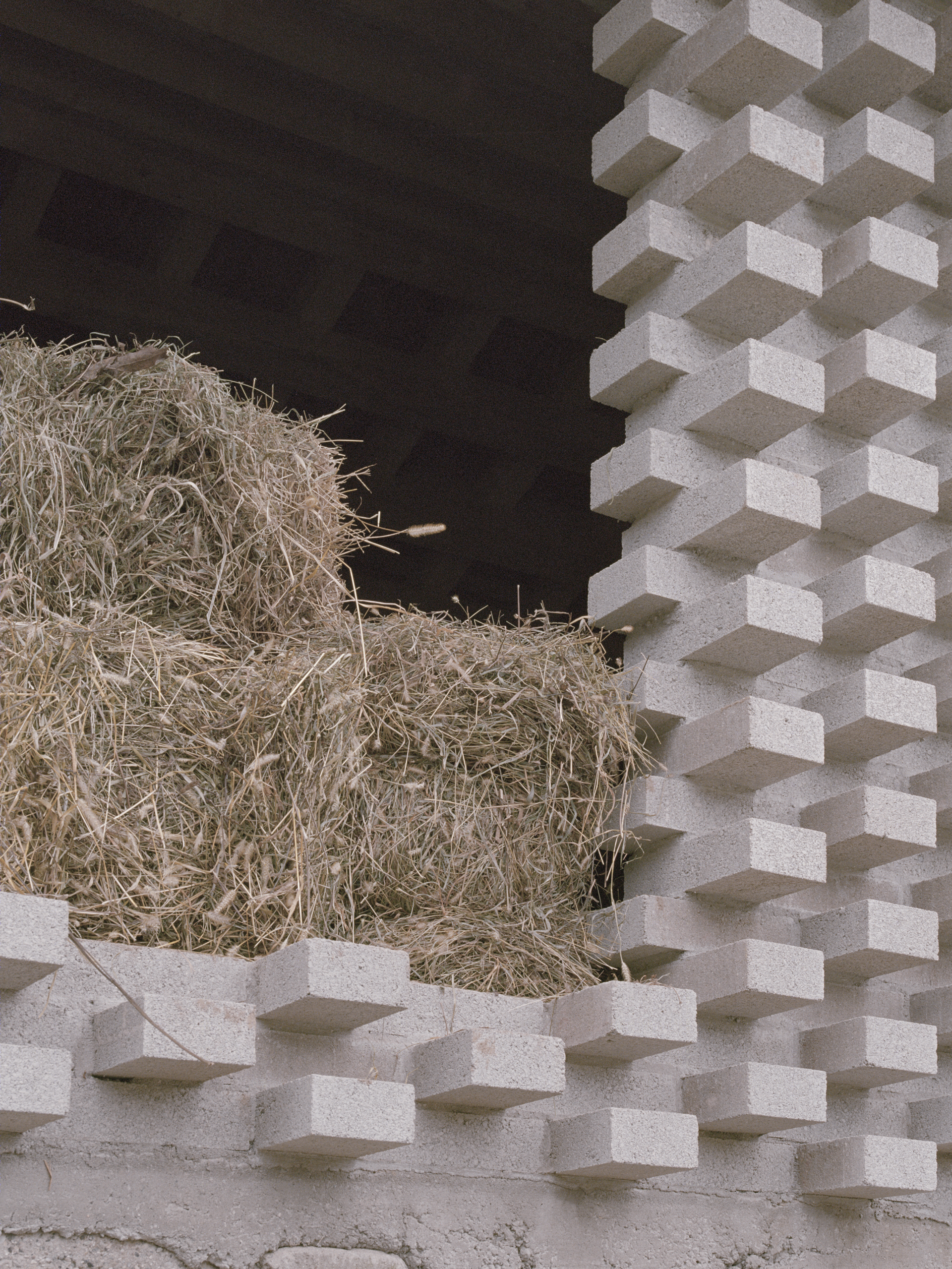 绿色之光 · 乡村小屋的生态改造丨意大利-37