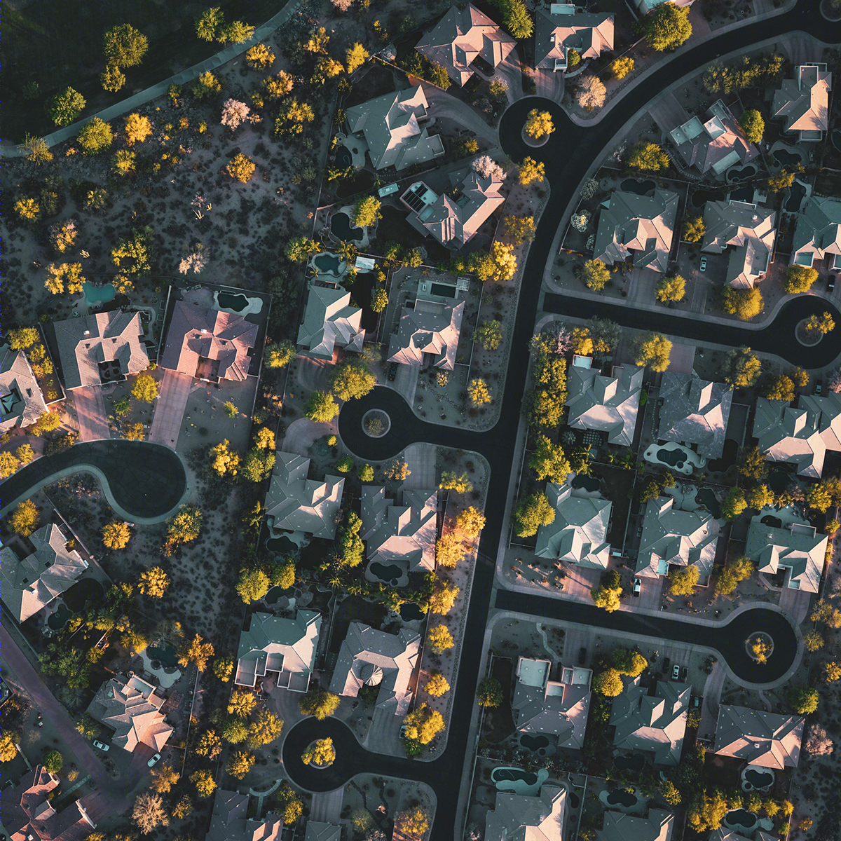 邻里之间丨Mitch Rouse-14