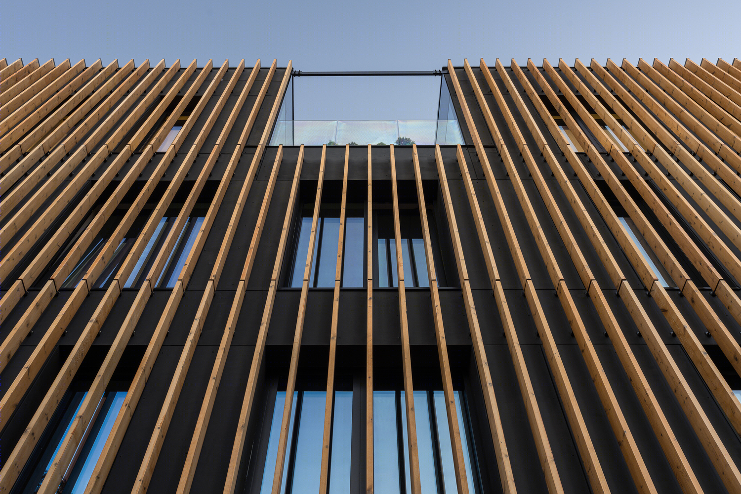 波兰 Sopot 市 696 Office 办公建筑丨proconcept-27