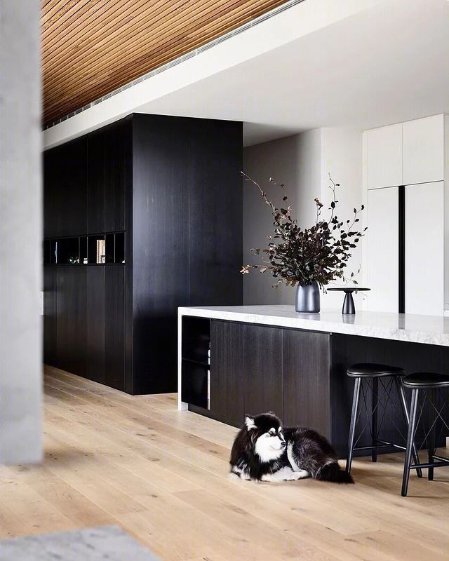 麦克纳马拉大厦丨澳大利亚墨尔本丨Tom Robertson Architects-31