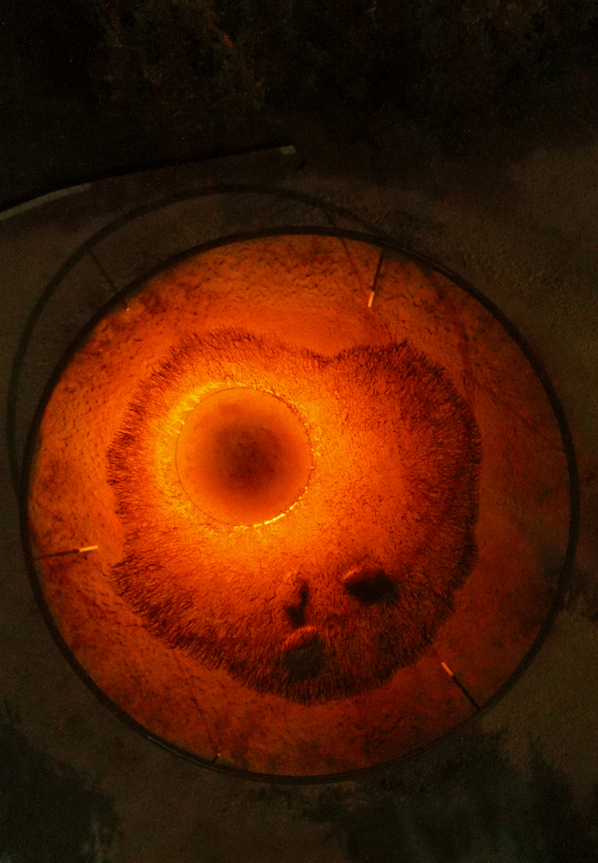 智利公园中的“发光海藻”临时装置-3