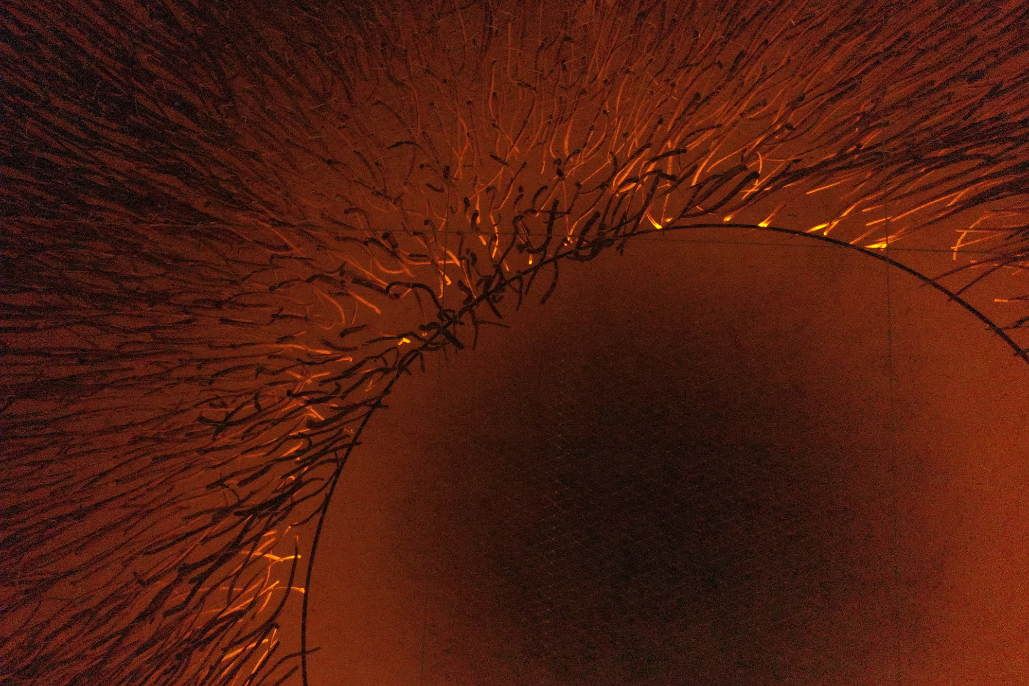 智利公园中的“发光海藻”临时装置-6