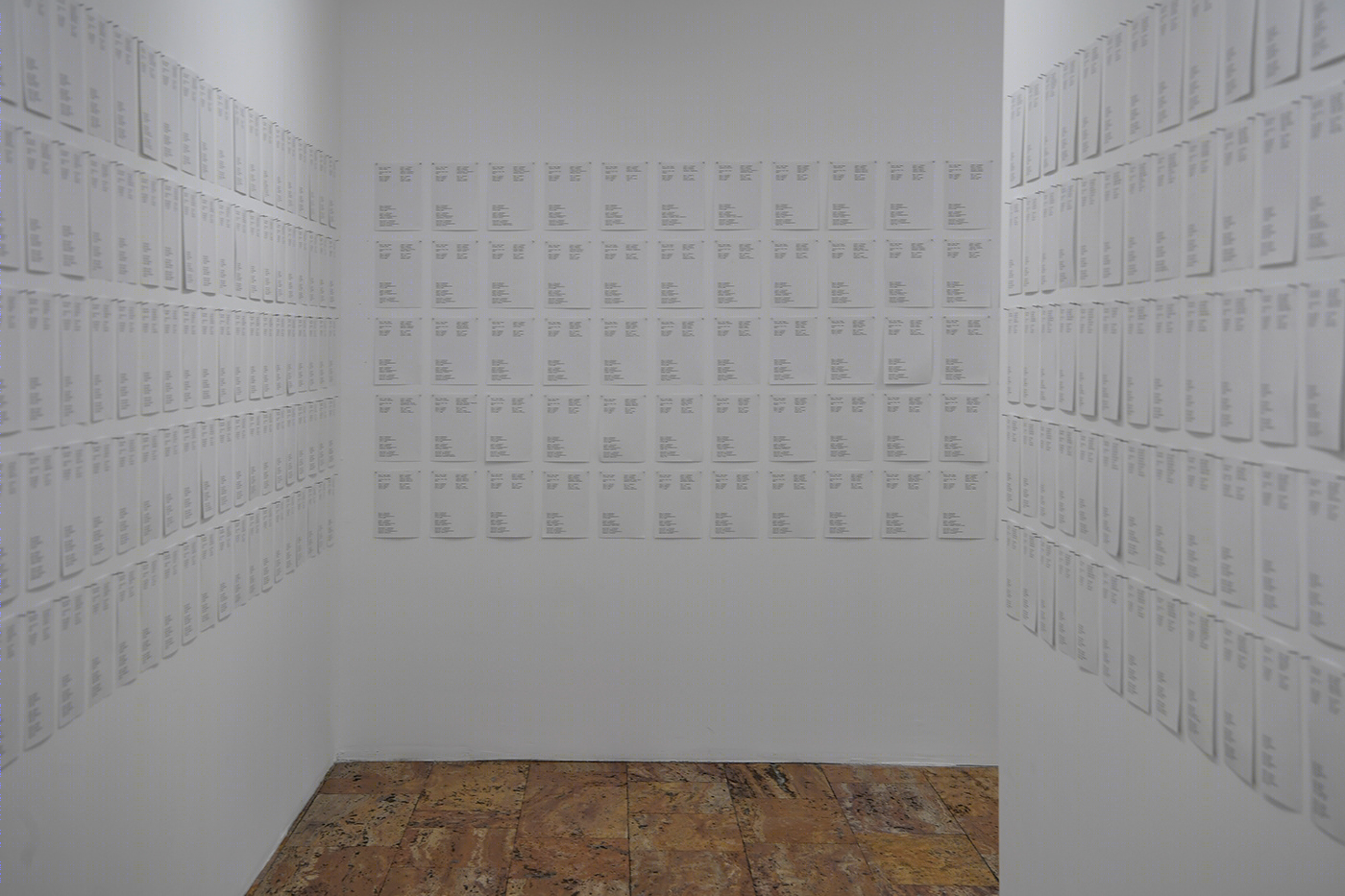 记忆之石 · 揭示科索沃战争的失踪者丨Driton Selmani-17