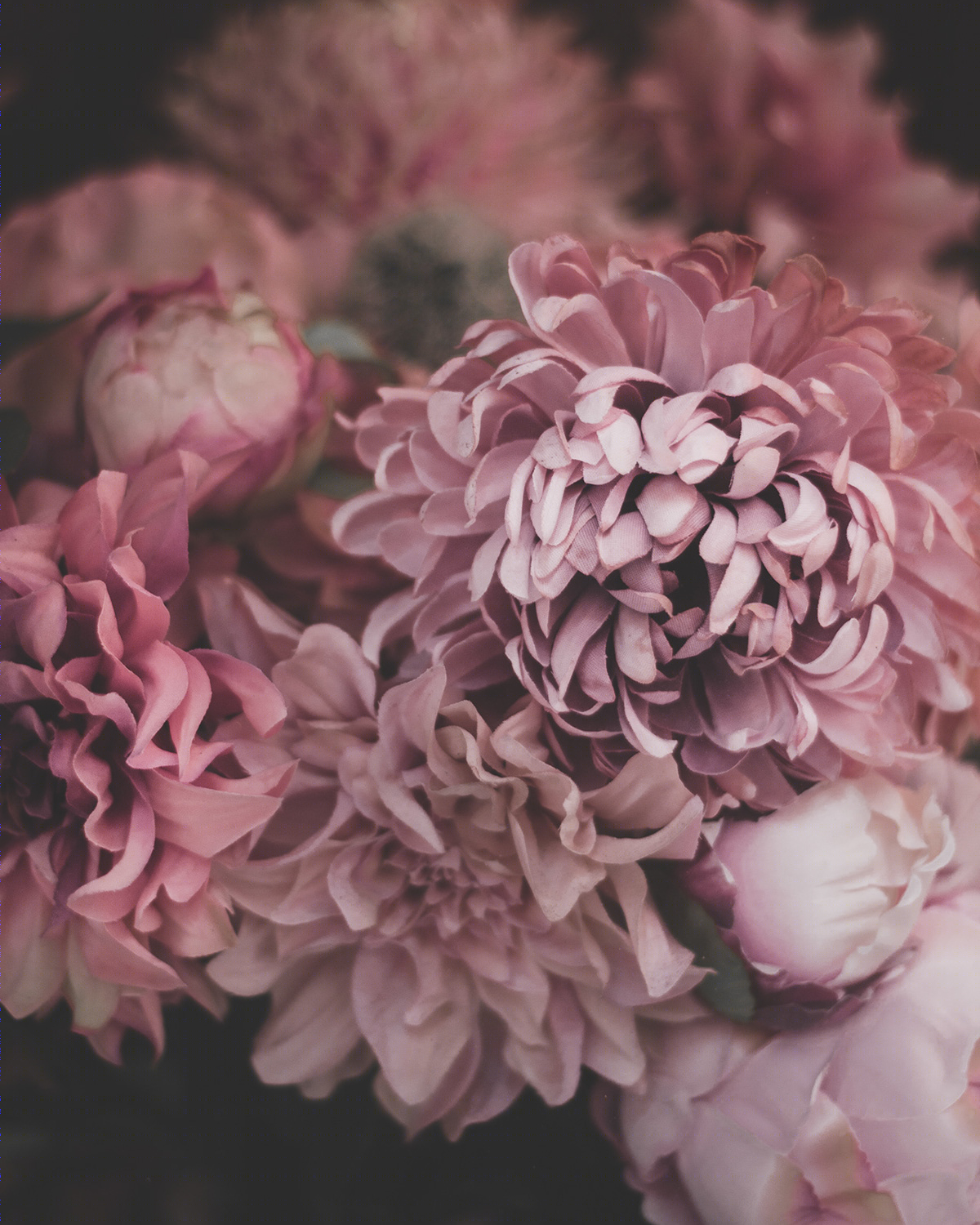 Last edit-3