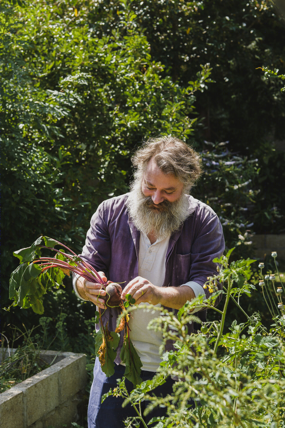 西蒙和索菲亚·库克的家-1