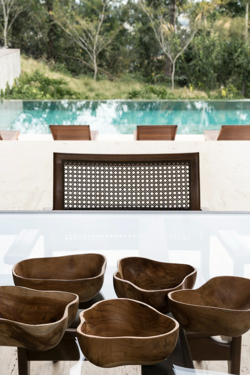 巴西 N 别墅自然对话的现代设计-41