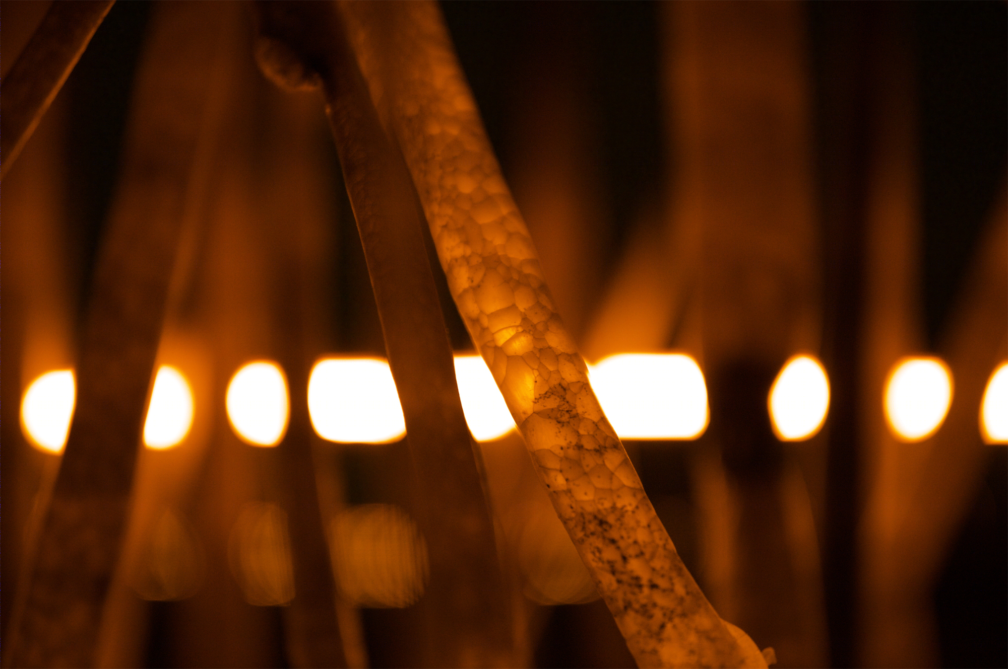 智利公园中的“发光海藻”临时装置-8