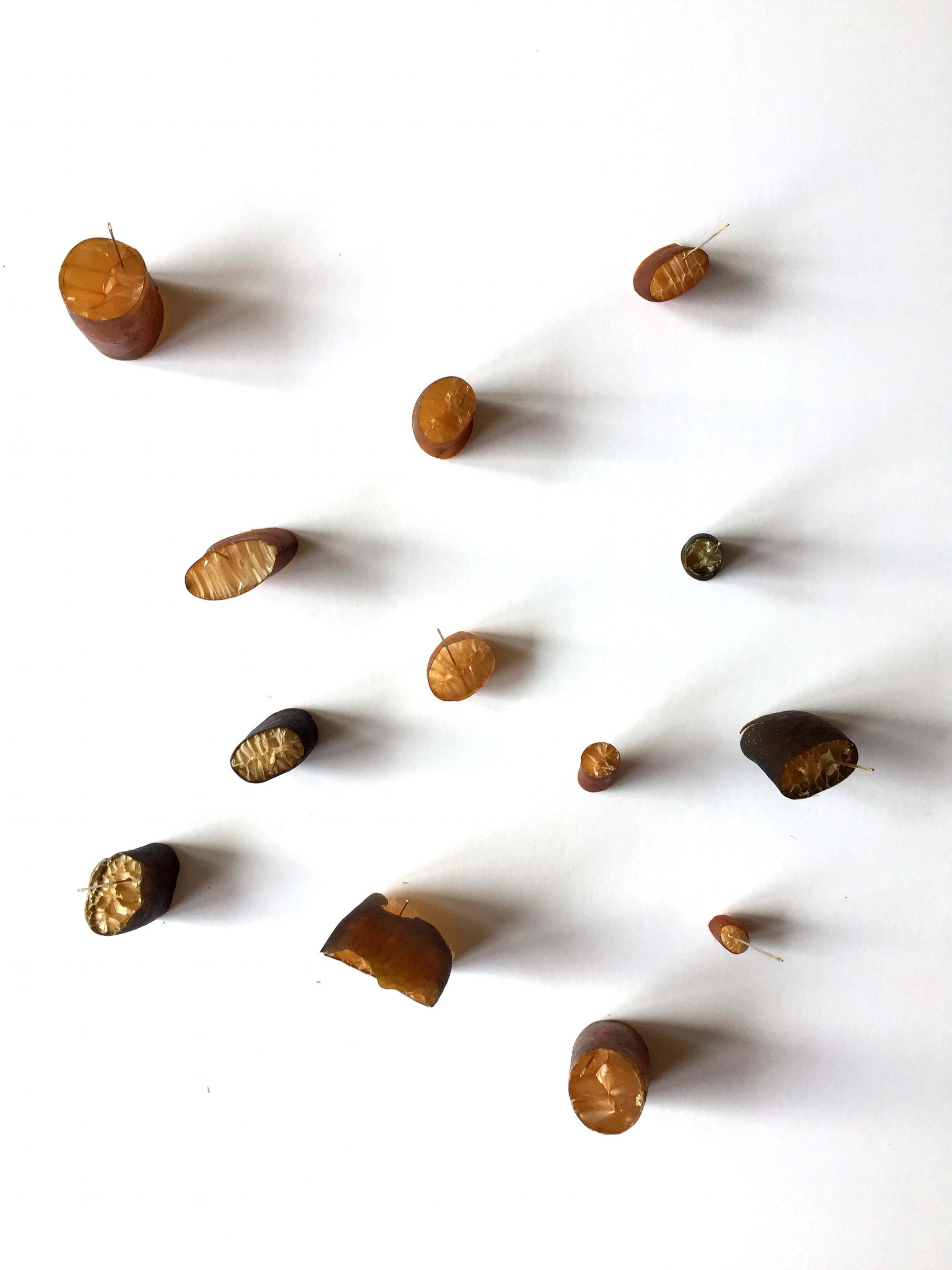 智利公园中的“发光海藻”临时装置-10