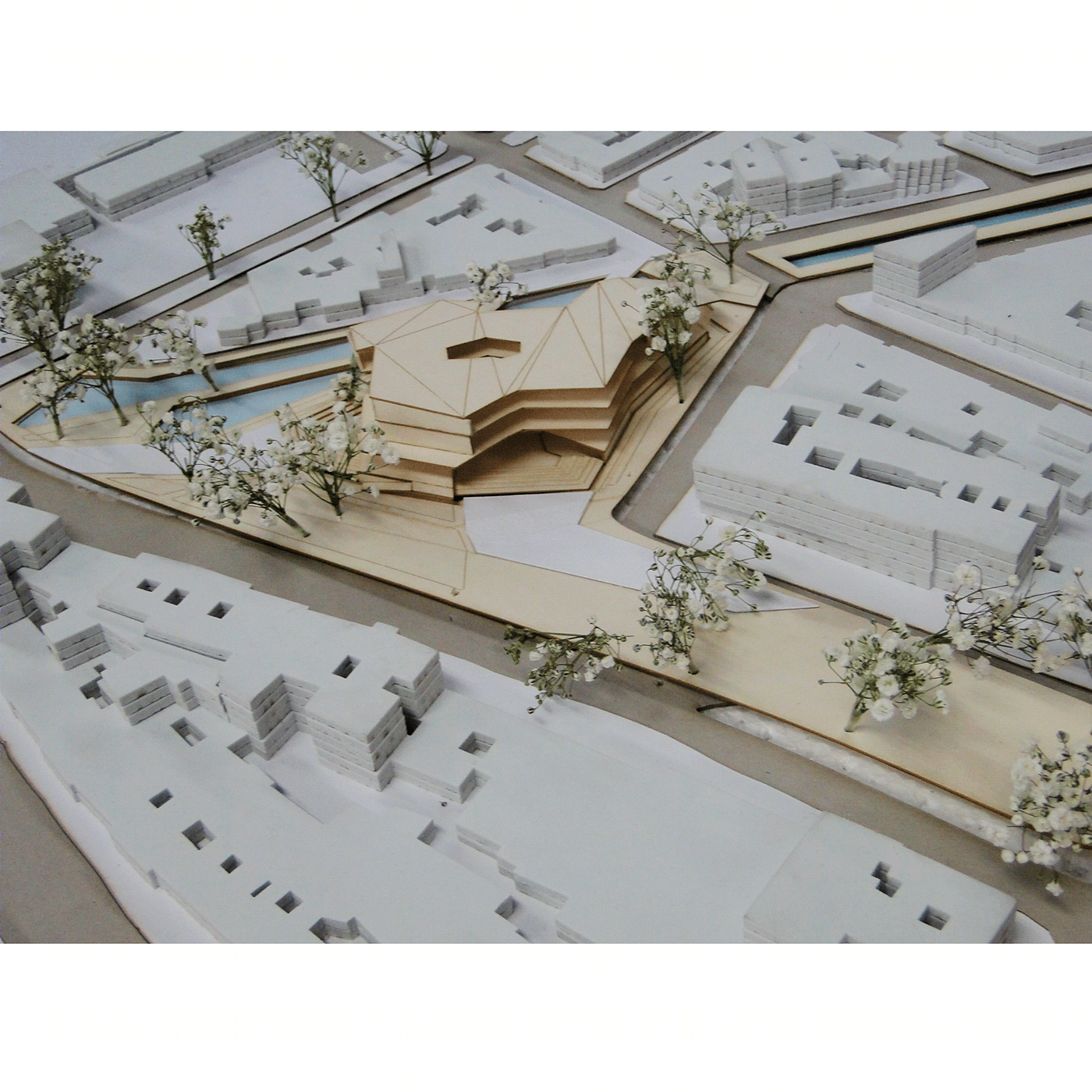 塞艾斯公园路-17