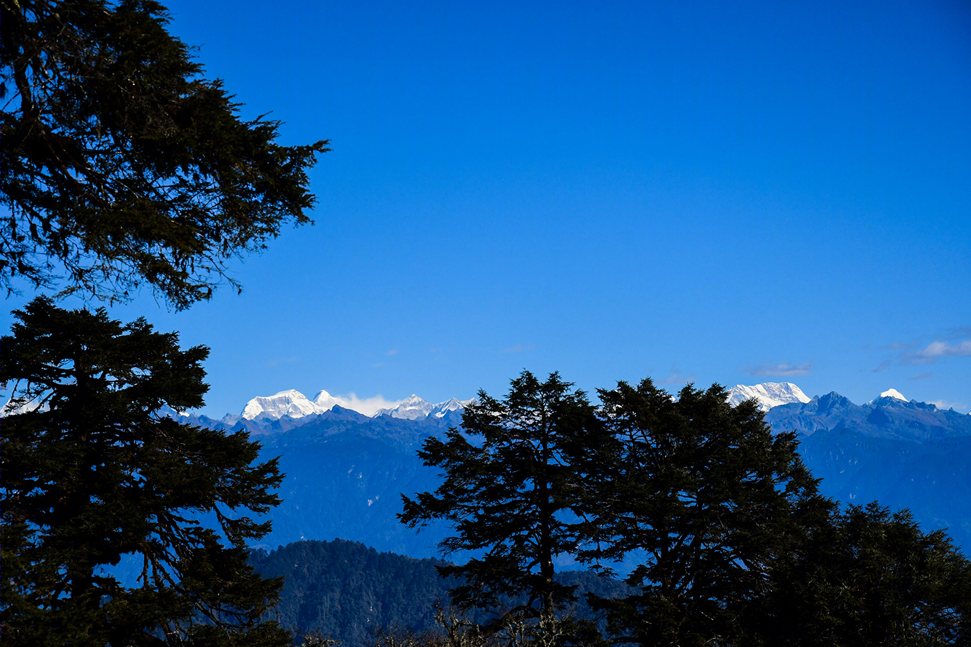 TRAVEL PHOTOGRAPHY (BHUTAN)-1