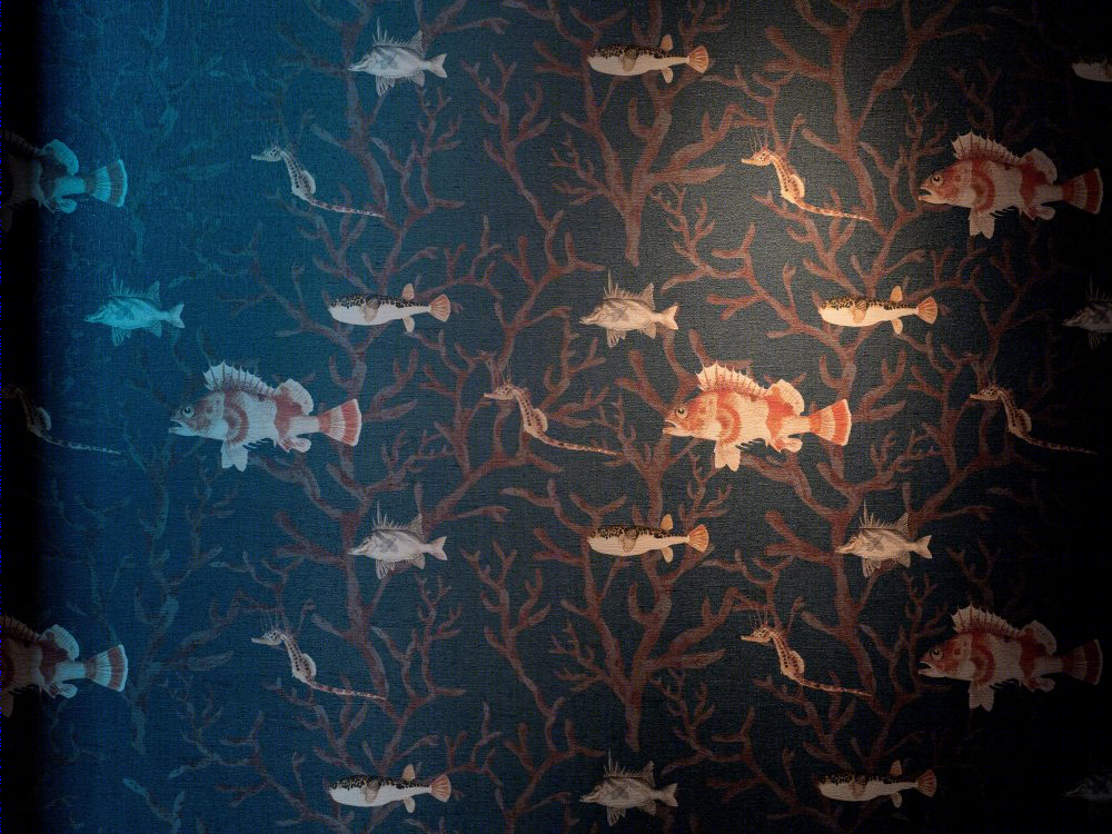 意大利 Aqua 酒吧丨意大利雷焦卡拉布里亚丨Nick Maltese-40