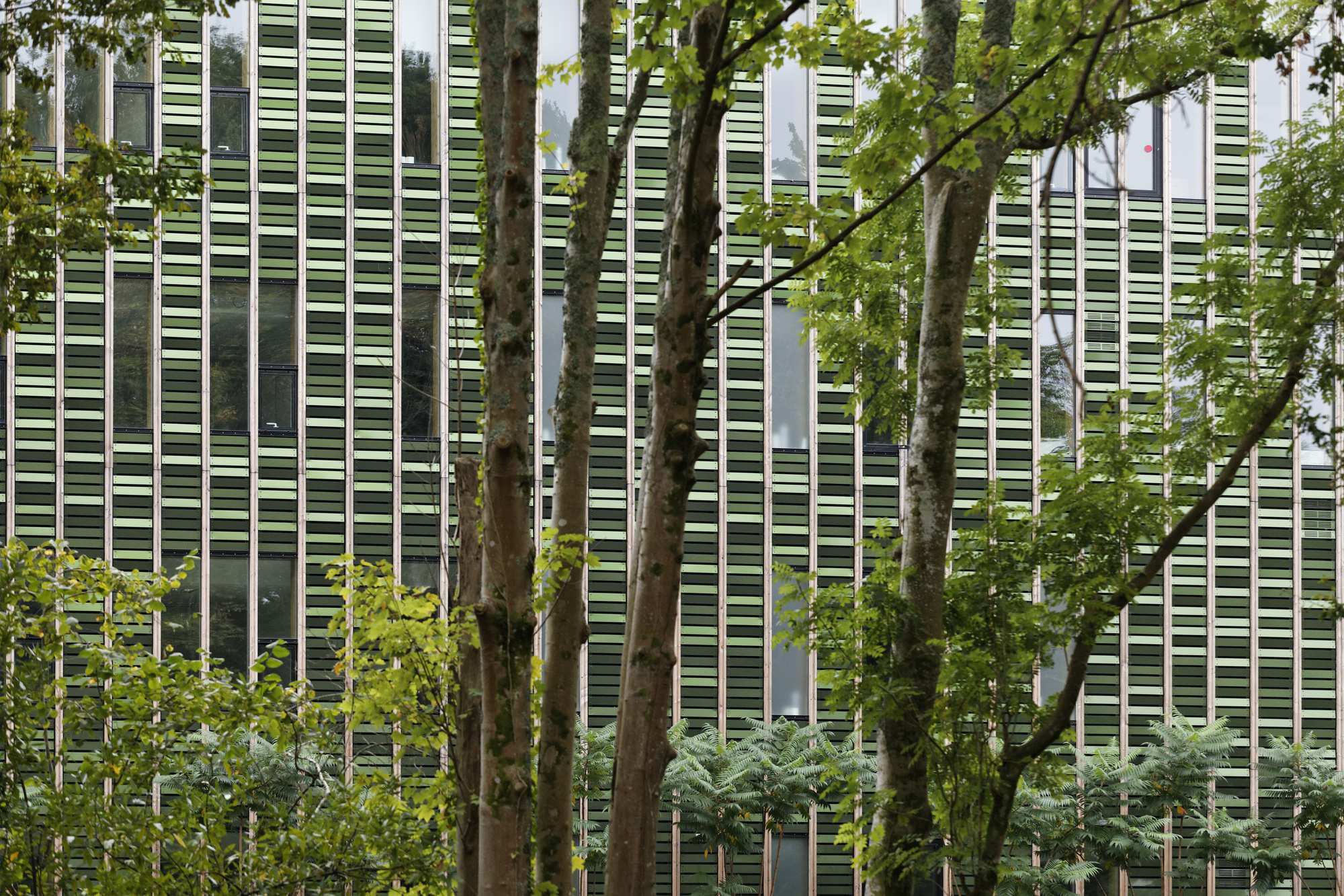 64 号住房办公室-17