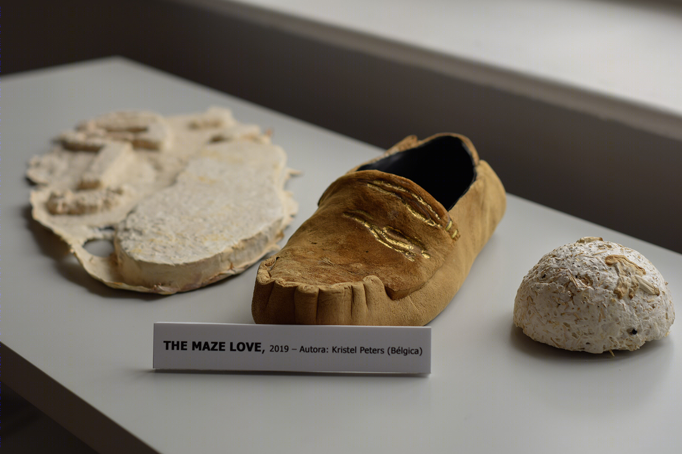 Naturaleza Generosa-4
