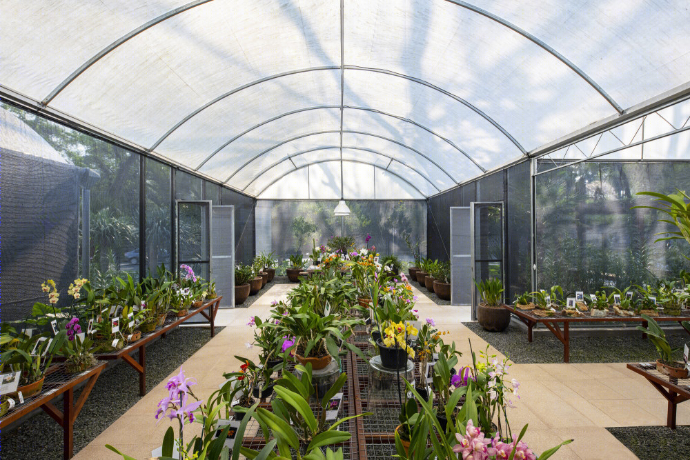 巴西罗西塔教区餐厅 | 融入自然的生态景观建筑-20