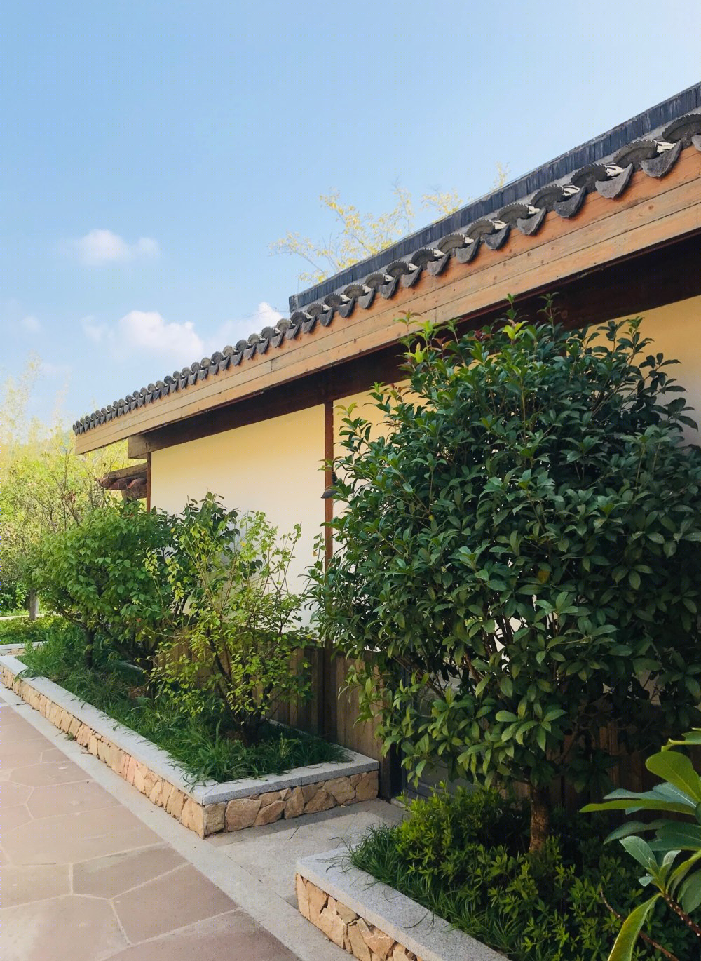 石城公寓，演绎简约宜居美学-6