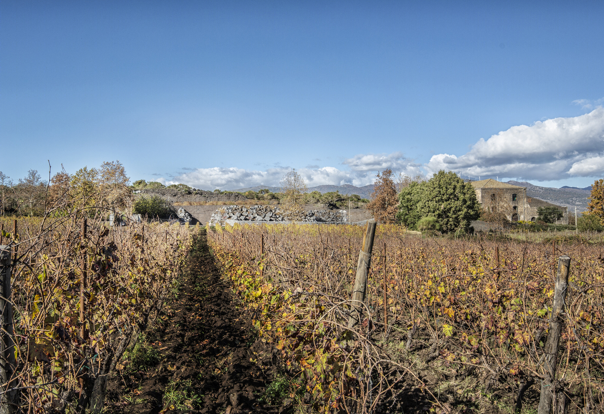 Graci Winery · 融入地形的地下酒庄丨意大利-17