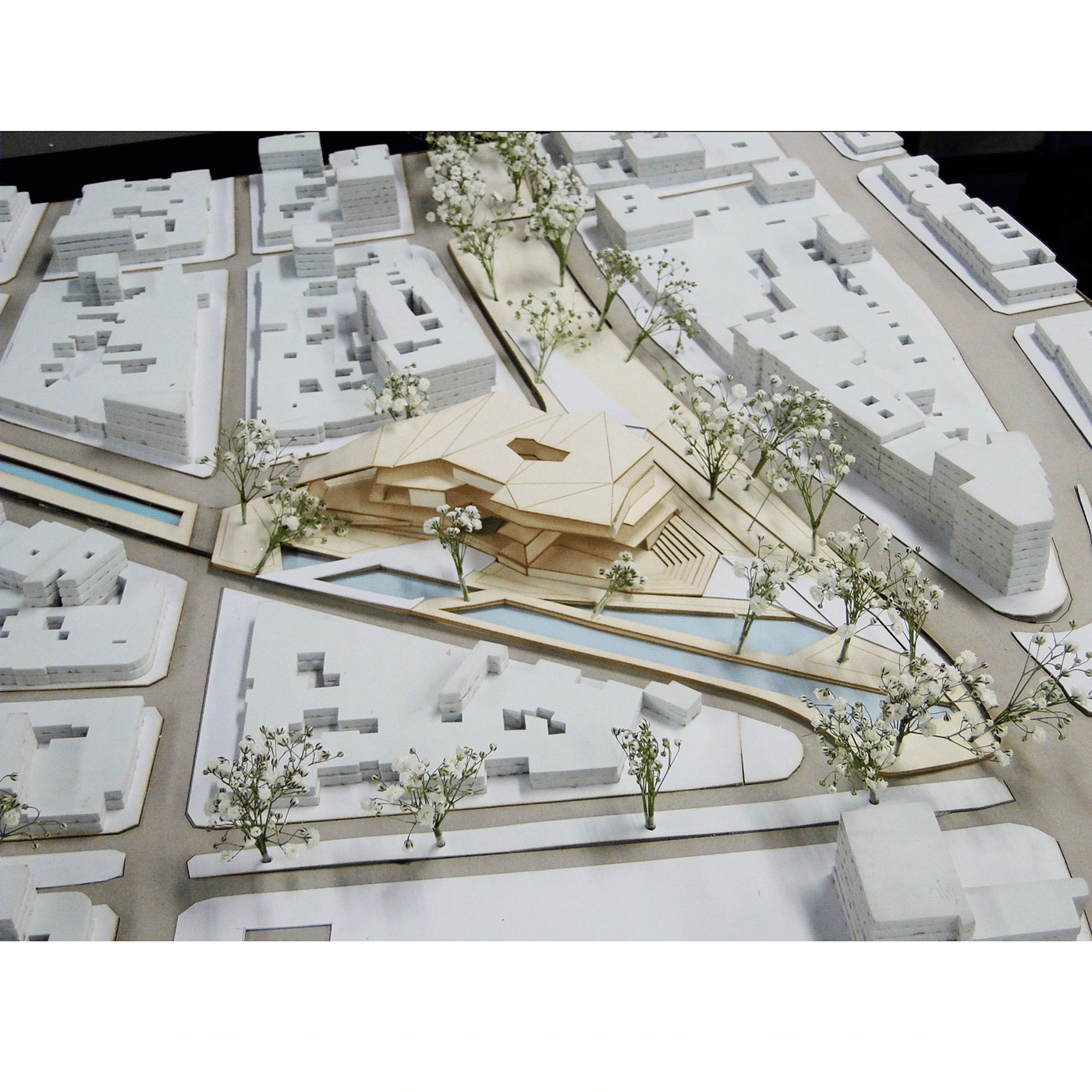 塞艾斯公园路-22