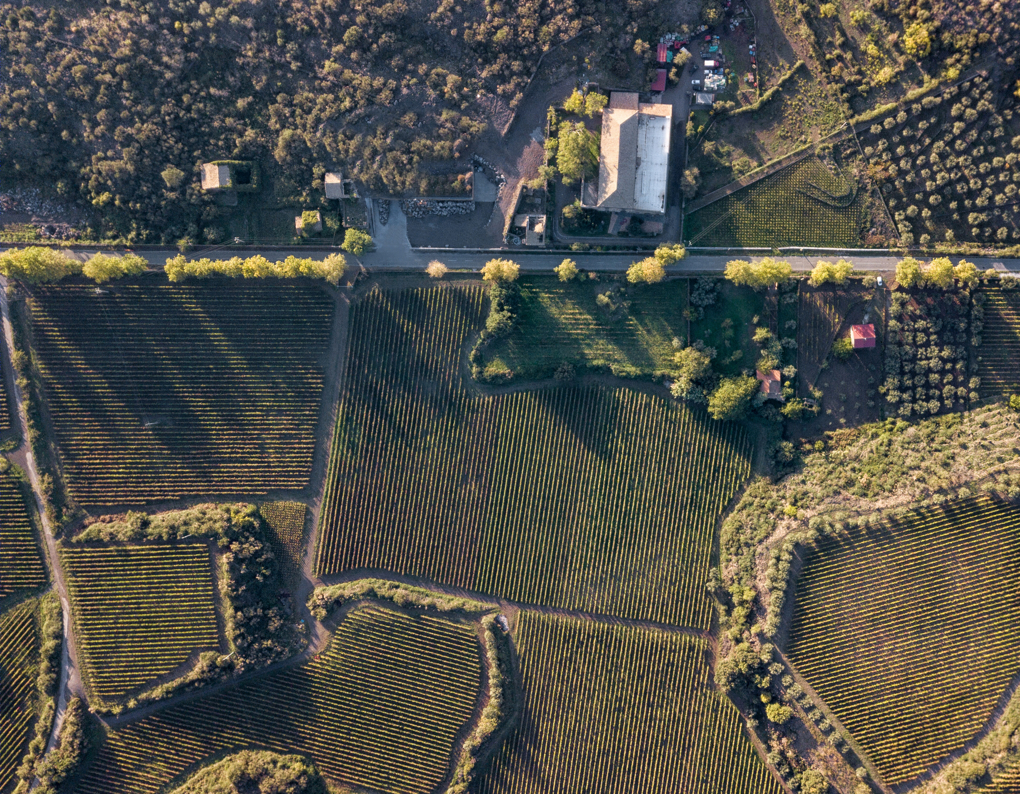 Graci Winery · 融入地形的地下酒庄丨意大利-20