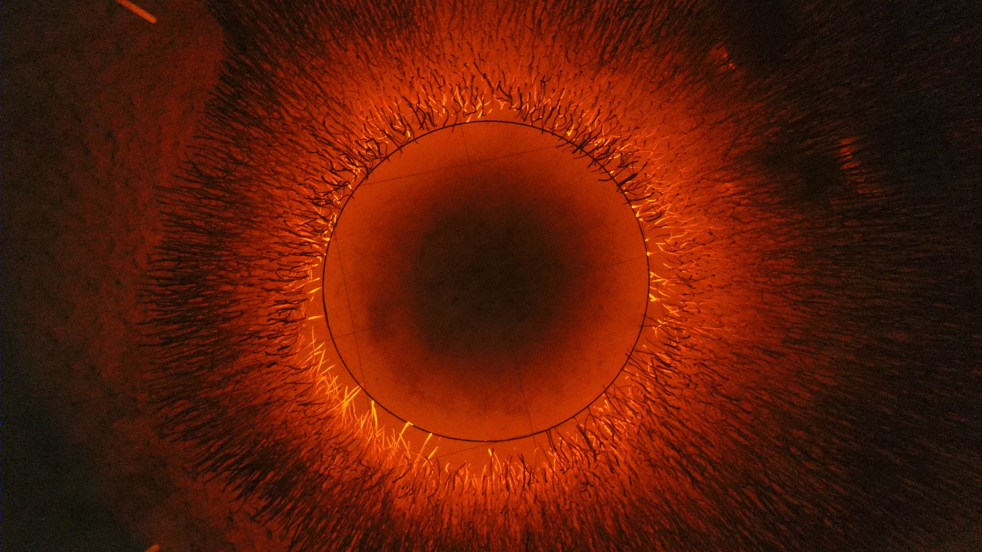 智利公园中的“发光海藻”临时装置-28