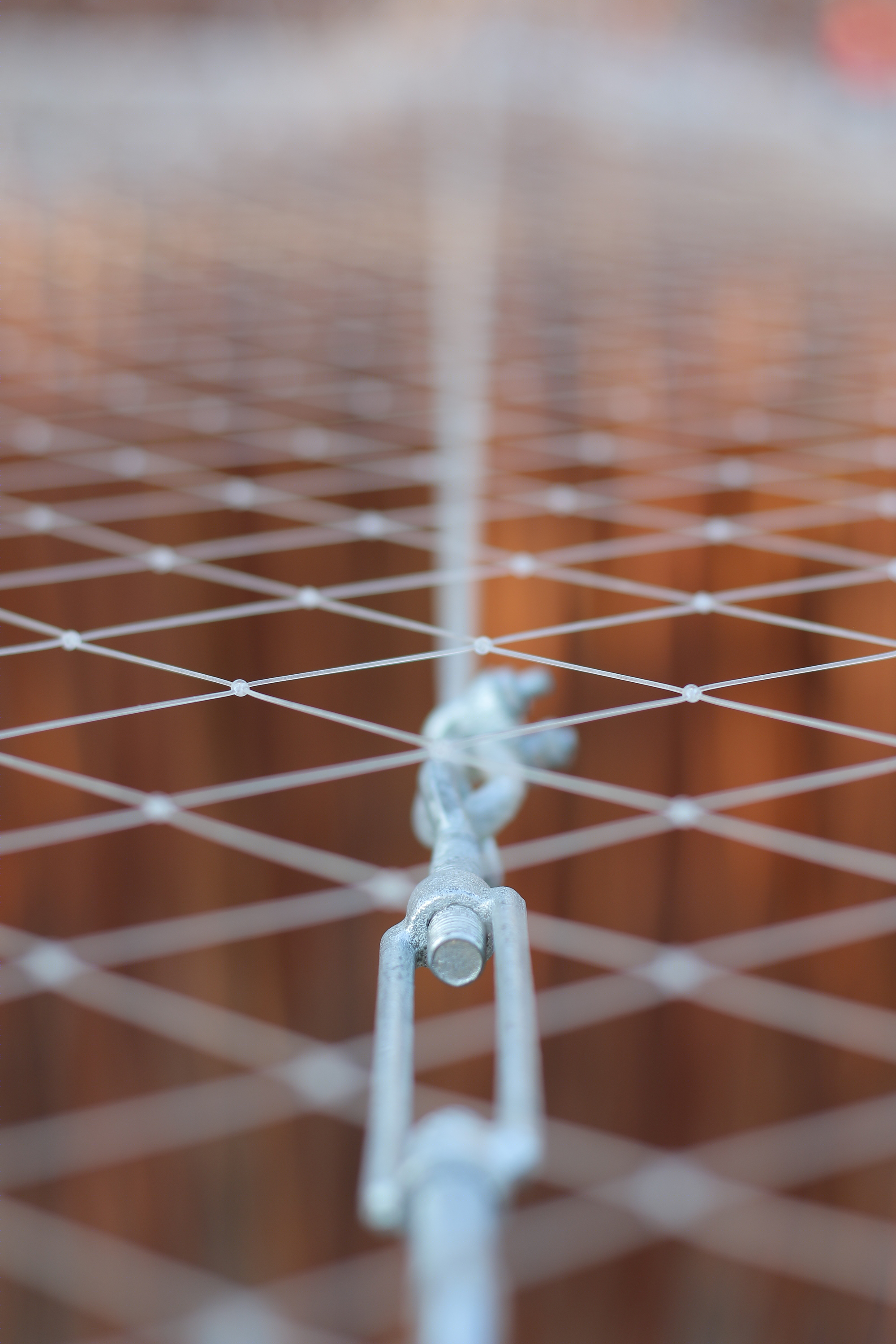 智利公园中的“发光海藻”临时装置-29