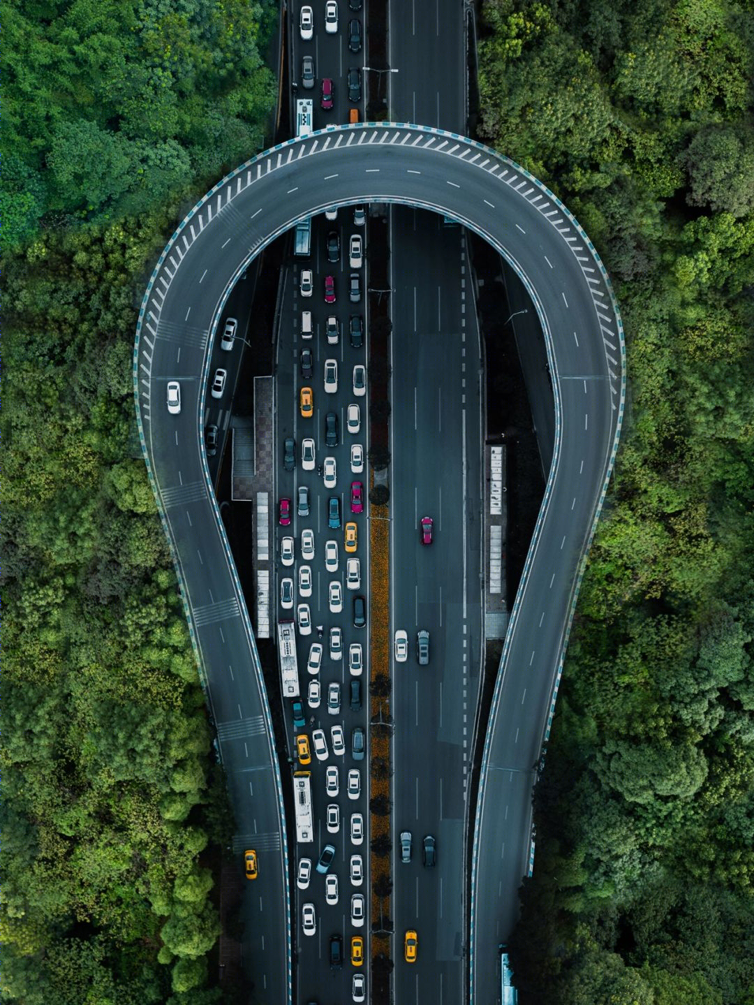 山水之城-9