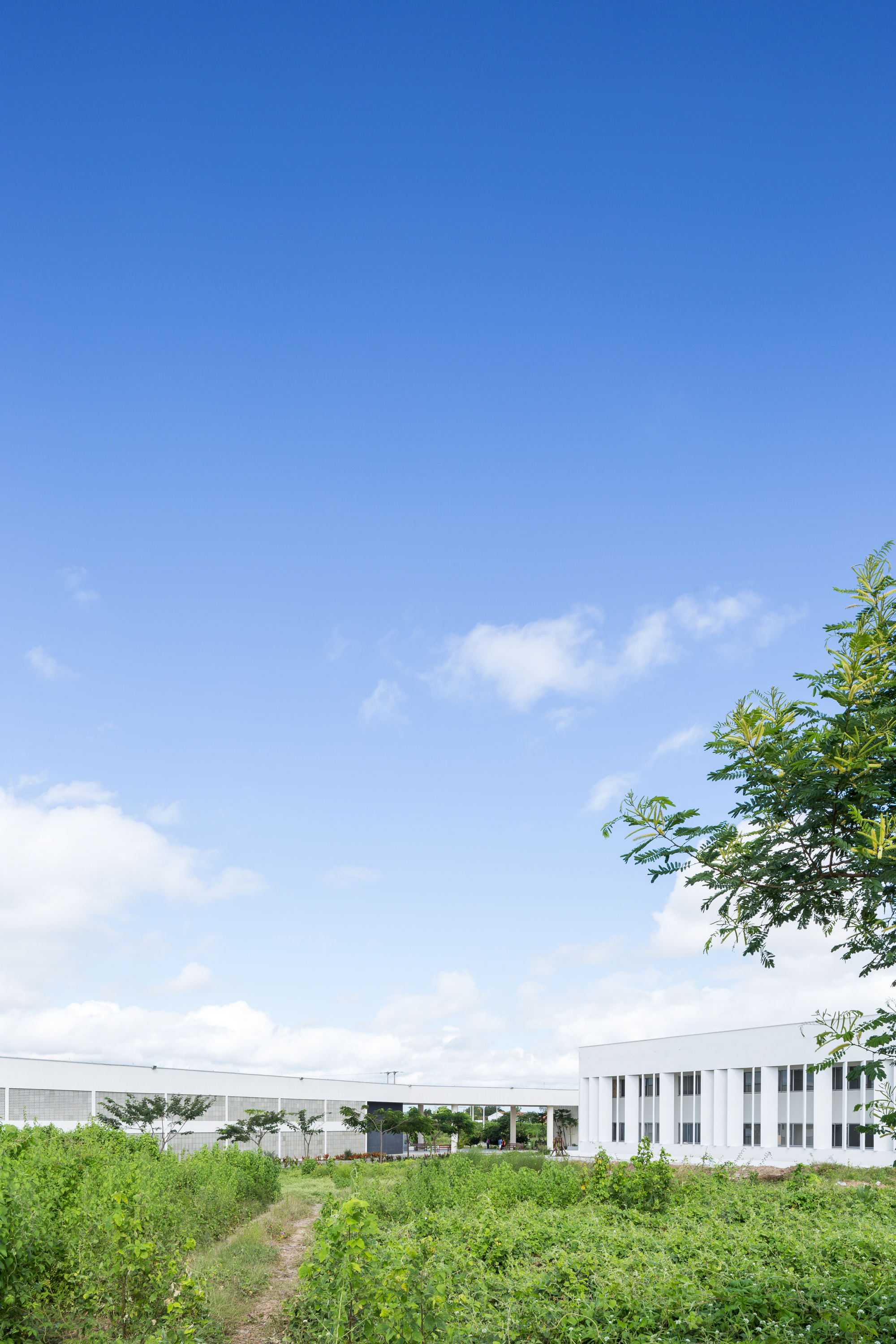 Croquis Projetos Rede Arquitetos丨教育建筑丨Didactic Block UFC Crateús-23