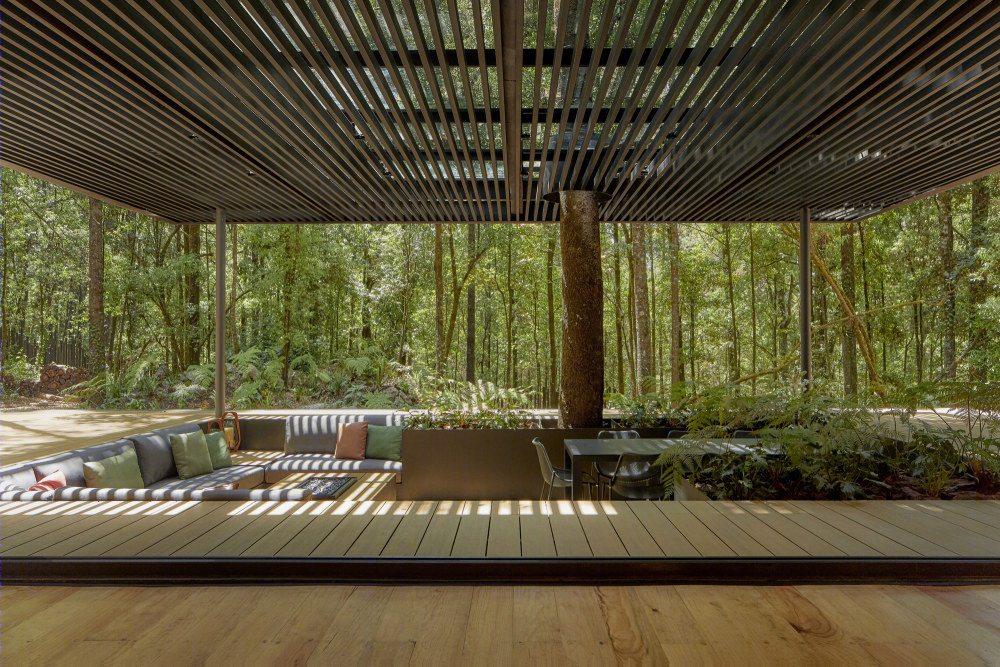 别墅丨墨西哥森林小屋 San Simón(2019)(Weber Arquitectos)设计-25