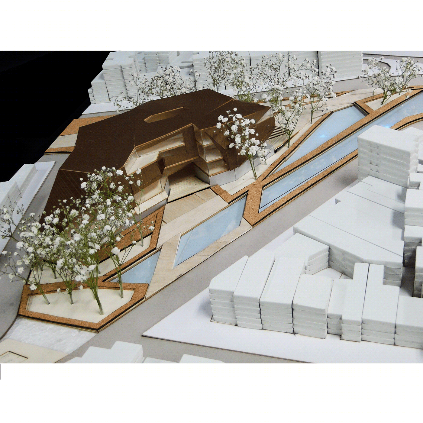 塞艾斯公园路-27