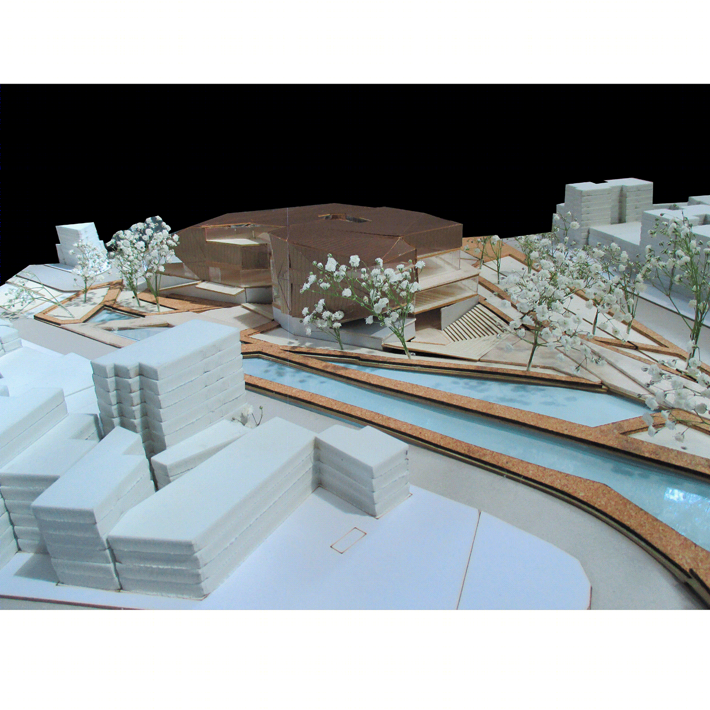 塞艾斯公园路-28