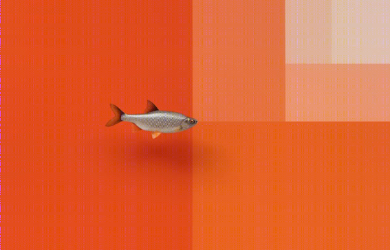 童心未泯的艺术巨匠——卡斯滕·霍勒-69