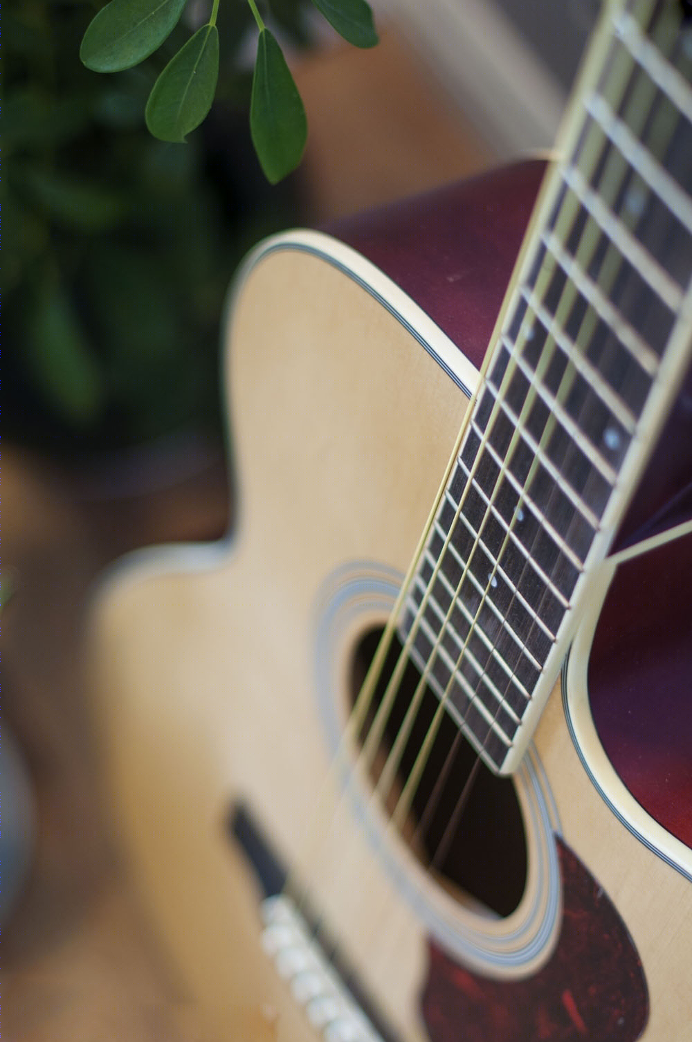 【如意*寻】/自然的抉择-20