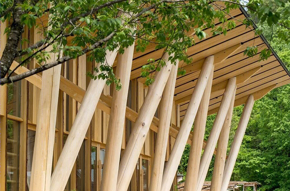 林业学院教学展亭丨日本岐阜丨隈研吾建筑都市设计事务所-10