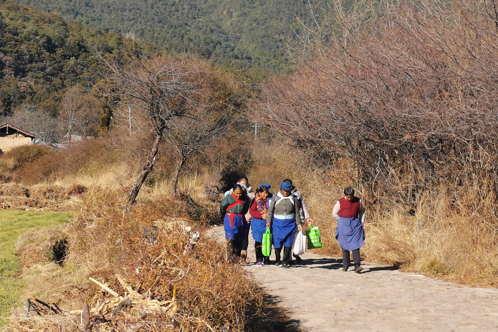 丽江HYLLA高山花园丨中国白沙丨致舍景观-200