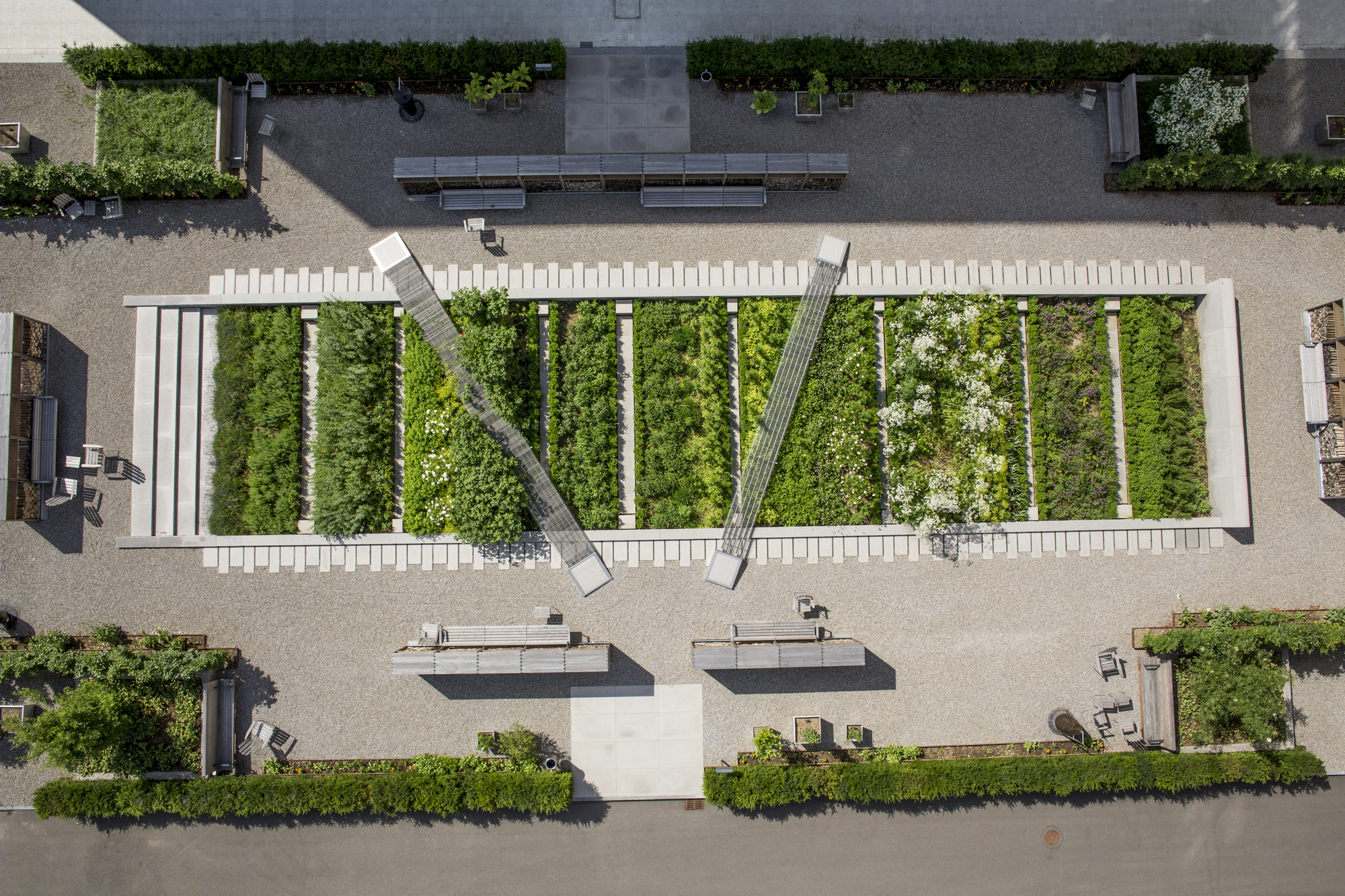 诺华药用植物园-12