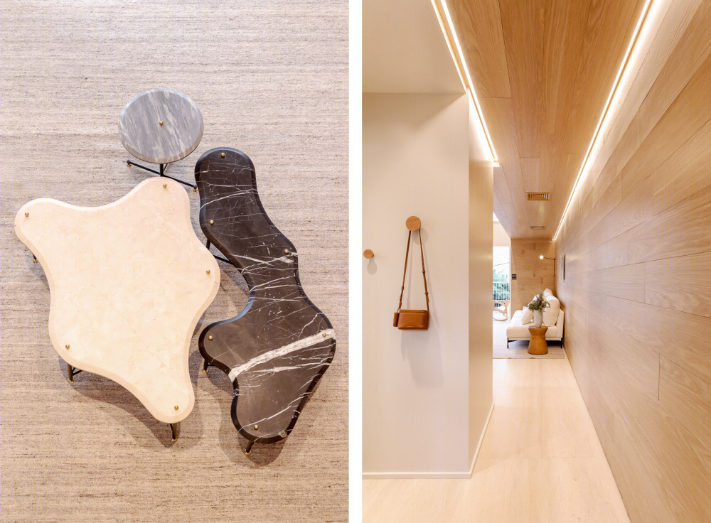 巴西诺丁住宅，现代简约风格典范-3