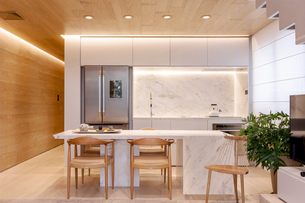 巴西诺丁住宅，现代简约风格典范-4