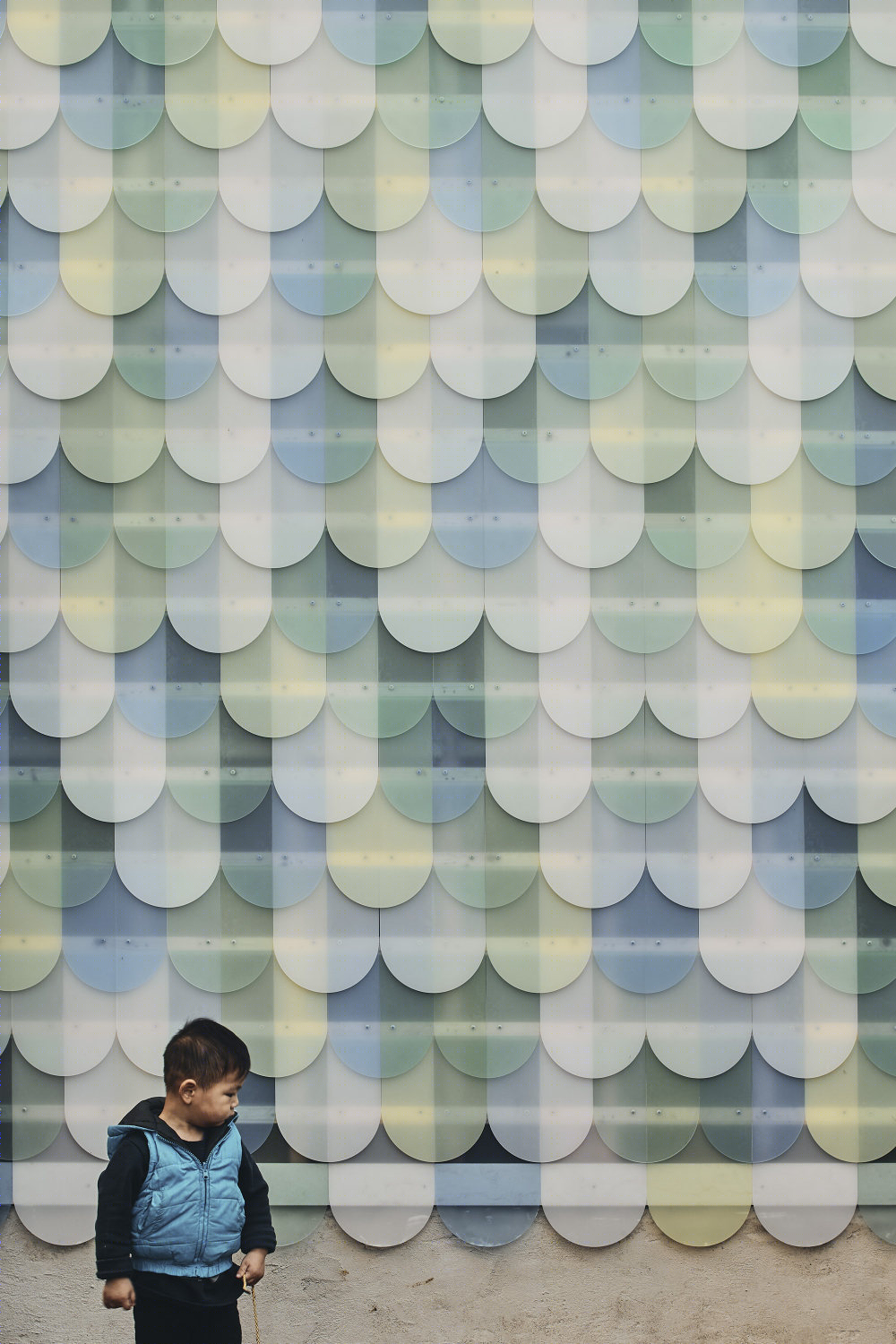 墨尔本彩色瓦住宅-20