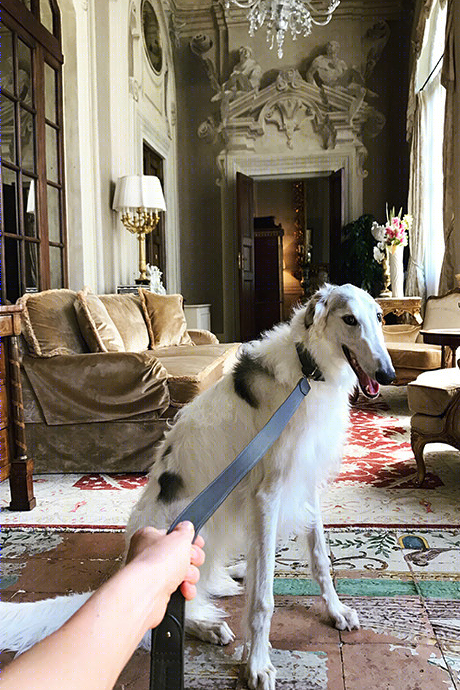 好莱坞豪华酒店公寓丨俄国设计师 Kirill Istomin-37